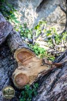 Watermark_56IMG_0194