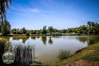 Watermark_62IMG_0200