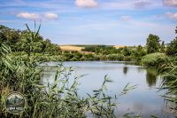 Watermark_63IMG_0201