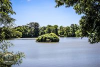 Watermark_67IMG_0206