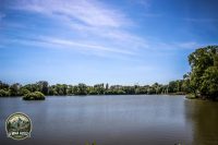 Watermark_68IMG_0207
