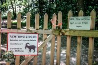 Watermark_6IMG_0137
