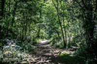 Watermark_7IMG_0138