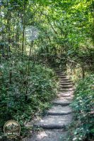 Watermark_8IMG_0139