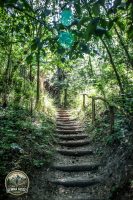 Watermark_9IMG_0140