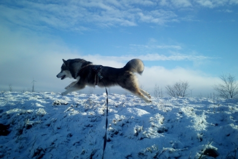 Nuk' im Schnee, Lebensfreude pur!