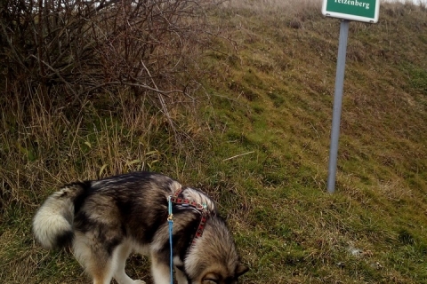 Nuk' on Tour (05.03.2018)