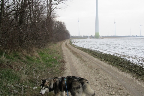Nuk' on Tour (22.02.2018)