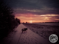 IMG_20210126_073123-Kopie