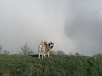 IMG_20210406_170759