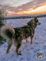 IMG_20211212_155529-Kopie