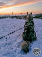 IMG_20211212_155605-Kopie