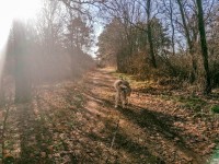 IMG_20220106_114127