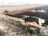 IMG_20220118_152334-Kopie