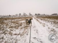 IMG_20220120_152536-Kopie