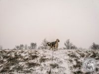 IMG_20220120_152611-Kopie