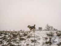 IMG_20220120_152617-Kopie