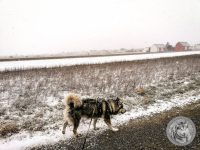 IMG_20220120_152722-Kopie