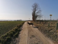 IMG_20200101_121943