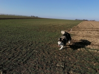 IMG_20200101_123021_1