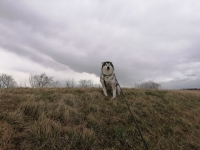 IMG_20200221_082426