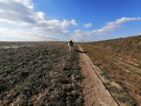 IMG_20200308_140018