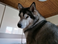 IMG_20200314_150644