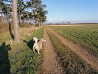 IMG_20200319_164053_1