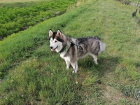 IMG_20200424_155748