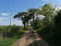 IMG_20200502_163008