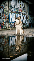 Nuk56467