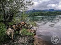 13IMG_20230518_111753-Kopie