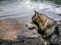 14IMG_20230518_111805-Kopie