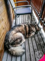 3IMG_20230518_173707-Kopie