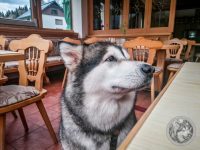 4IMG_20230518_184333-Kopie