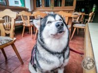 5IMG_20230518_184348-Kopie