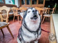 6IMG_20230518_184349-Kopie