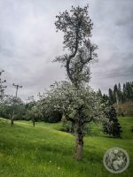 7IMG_20230518_185352-Kopie