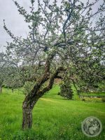 8IMG_20230518_185419-Kopie