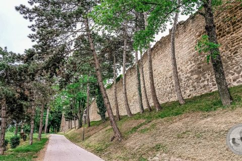 Schlossberg-Ruine Hainburg am 7. Mai 2026