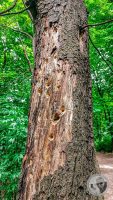 Watermark_12IMG_20260507_142926