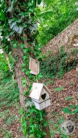 Watermark_18IMG_20260507_143405