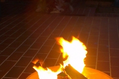 IMAG6586