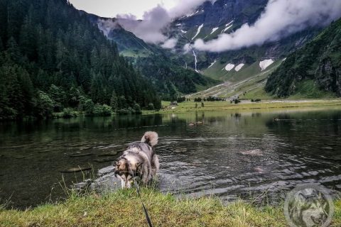 Sommerurlaub 2023: 22072023 Anfahrt - Hintersee - Jörgleralm