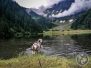 Sommerurlaub 2023: 22072023 Anfahrt - Hintersee - Jörgleralm