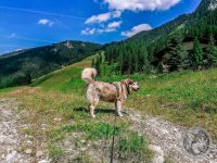 22IMG_20230723_134806-Kopie