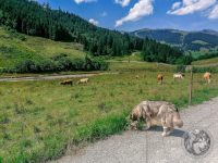 24IMG_20230723_141242-Kopie