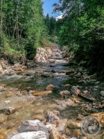 25IMG_20230723_142645-Kopie