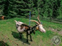 27IMG_20230723_145650-Kopie