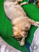 28IMG_20230723_162907-Kopie